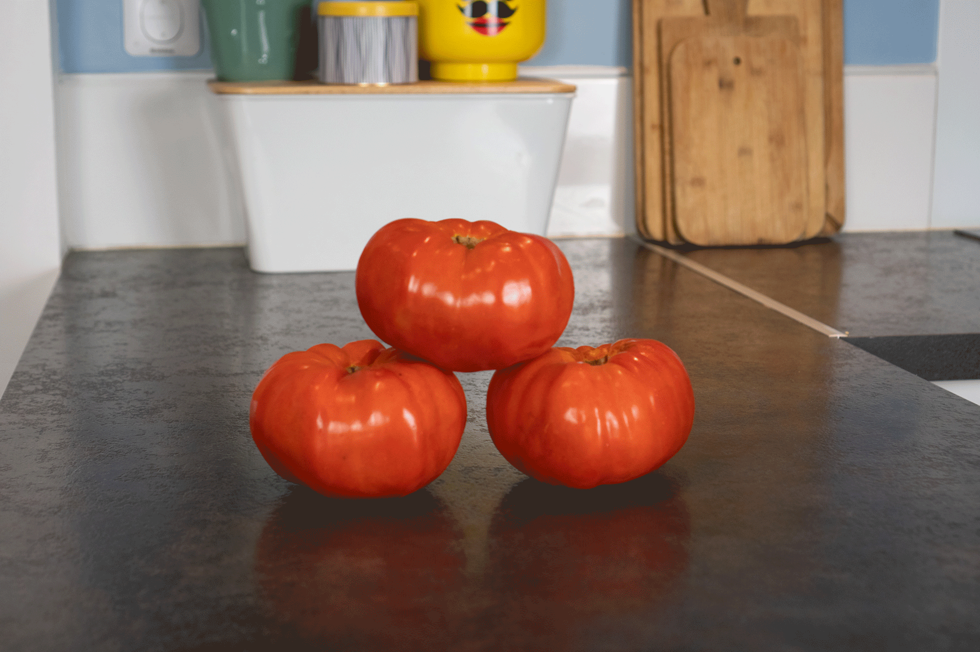 Nos premières conserves de tomates